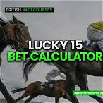 horse racing bet winnings calculator